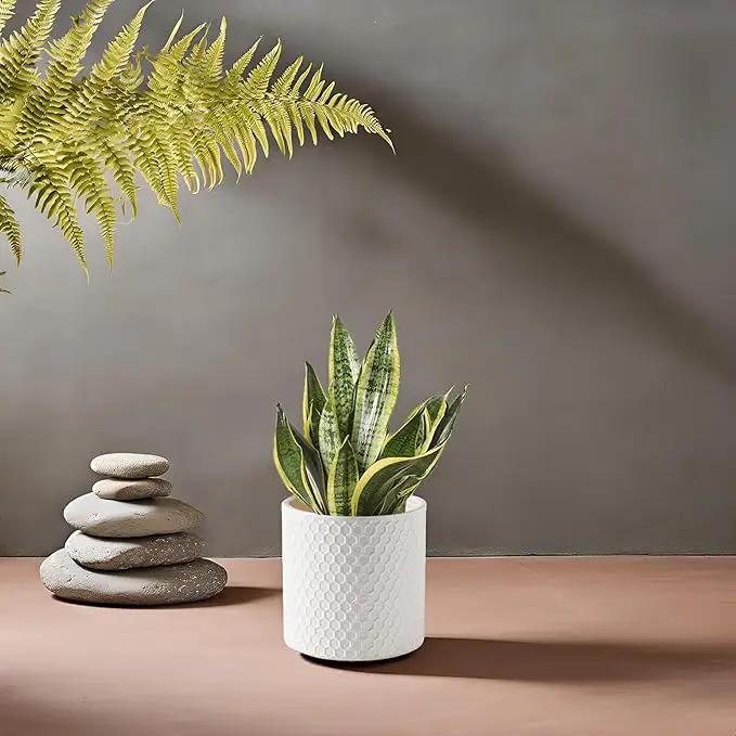Docrin Ceramic Planters Indoor, 8 Inch Plant Pot with Drainage Holes for Home/Office - White Honeycomb by GreenHaven Gardens