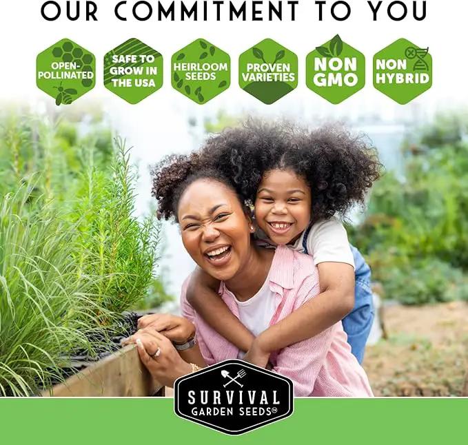 Indoor Garden Vegetables Hydroponic Apartment Garden - Non-GMO Heirloom Vegetable Varieties for Small-Space Patio Garden - Hydroponics-Friendly - Plant Indoors or Outdoors - Survival Garden Seeds by GreenHaven Gardens