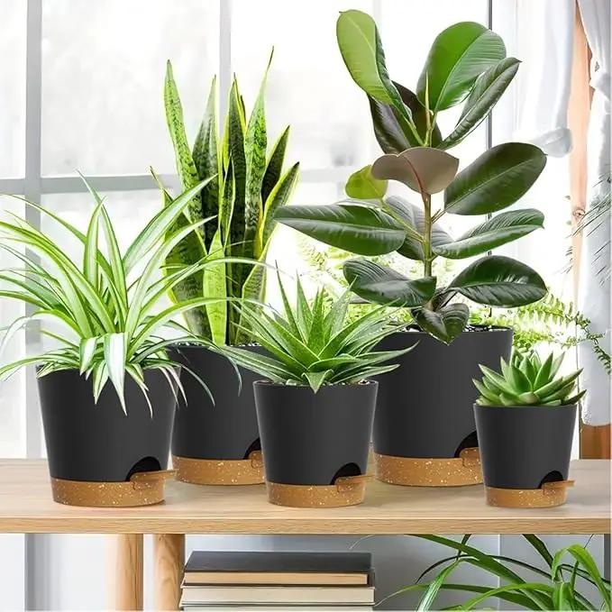 7/6.5/6/5.5/5/4 inch Self Watering Pots for Indoor Outdoor Plants, 6 Pack Plastic Flower Planters with Drainage Holes and Removable Saucers, Plant Pots with Wicking Rope, Black Brown by GreenHaven Gardens
