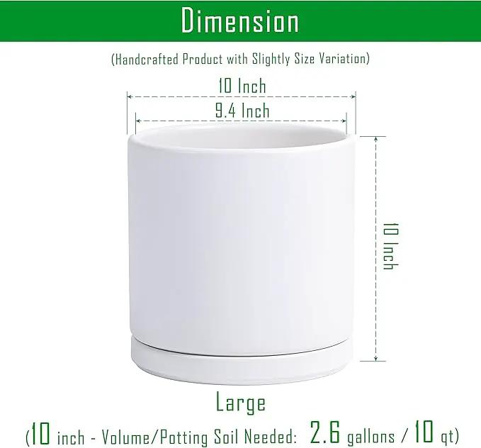 D'vine Dev 10 Inch Ceramic Planter Pot with Drainage Hole and Saucer, Indoor Cylinder Round Planter Pot, White, 94-O-E-1 by GreenHaven Gardens