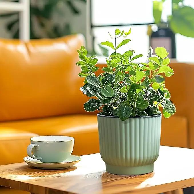 T4U 6 Inch Self Watering Pots for Indoor Plants, 6 Pack Planters for Indoor Plants, Durable Plastic Mint Green Pots for Indoor Plants, African Violets, Flower by GreenHaven Gardens