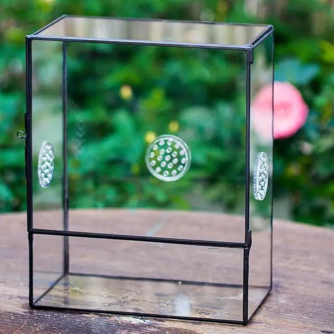 NCYP Glass Terrarium with Front Opening Door and 3 Vents for Insects, Snail, Spider, Glass Enclosure - 8"x4.5"x10" Clear Closed Plant Greenhouse Box (Terrarium Only) by GreenHaven Gardens
