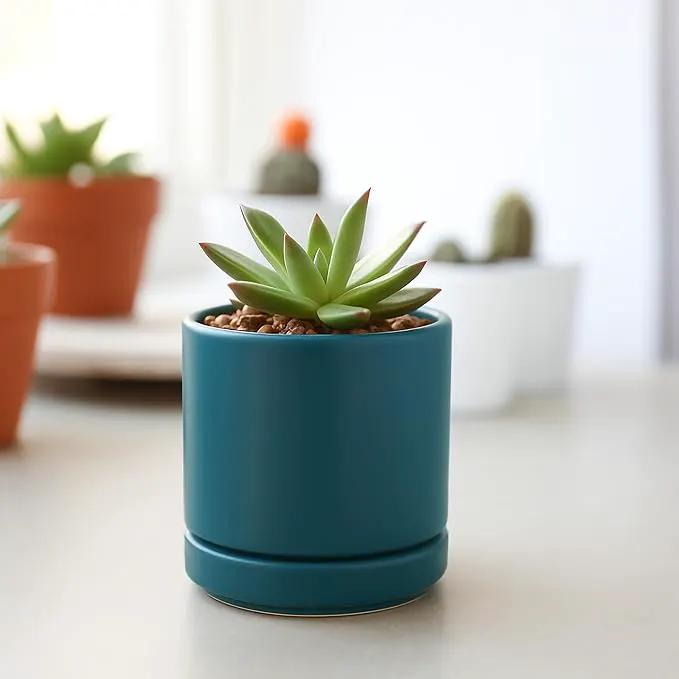 D'vine Dev 3.5 Inch Ceramic Planter Pot with Drainage Hole and Saucer, Indoor Cylinder Round Planter Pot, Teal, 94-O-A-9 by GreenHaven Gardens