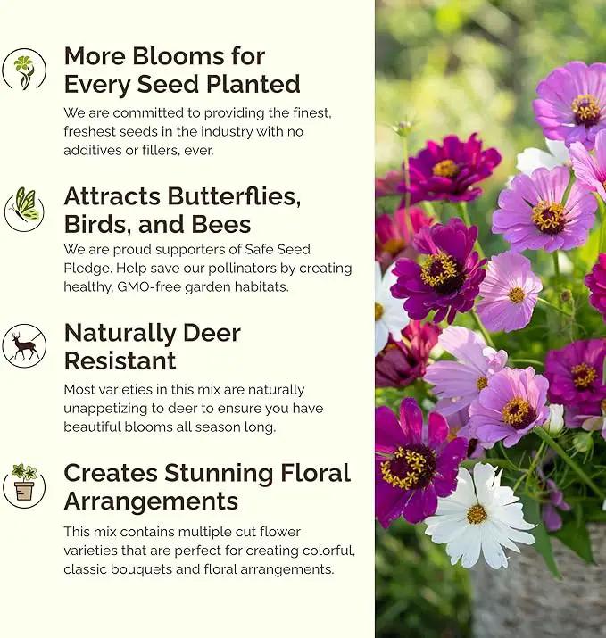 Eden Brothers Purple Rain Flower Mixed Seeds for Planting, 5 lb, 2,400,000+ Seeds with Zinnia Purple Prince & Violet Queen, Cosmos, Attracts Pollinators, Plant in Spring, Zones 3, 4, 5, 6, 7, 8, 9, 10 by GreenHaven Gardens