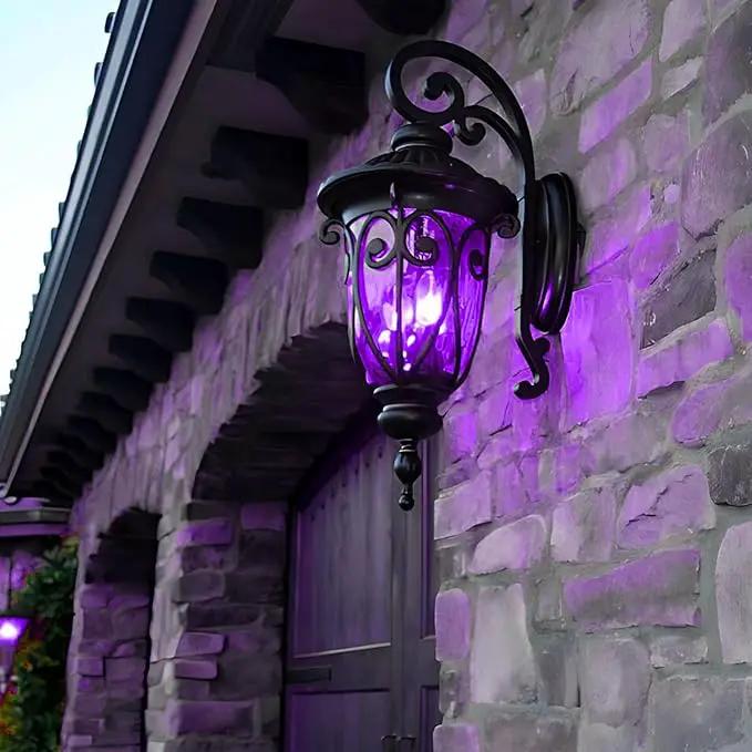 Hompavo 【Upgraded LED Flame Light Bulbs, 3 Modes Flickering Light Bulbs, E12 Chandelier Base Candle Fire Light Bulb for Halloween Christmas Party Porch Indoor & Outdoor Home Decoration, Purple 6 Pack by GreenHaven Gardens