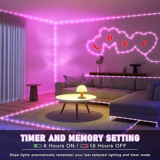 Easter Rope Lights Outdoor, 100FT 300 LED Christmas String Lights with Waterproof 8 Modes, Connectable Clear Tube Twinkle Light for Indoor Bedroom Patio Fence Party Wedding Decorations, Pink by GreenHaven Gardens