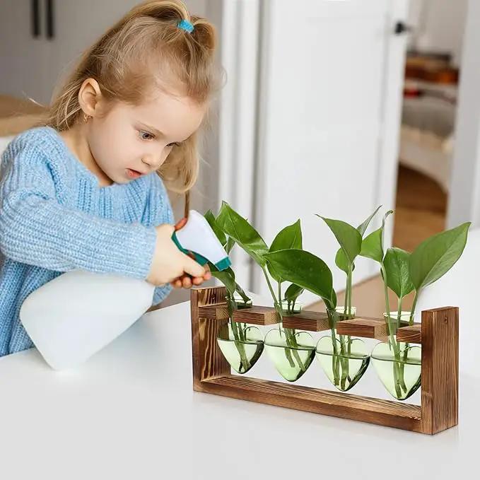 Plant Propagation Stations Heart Plant Terrarium Kit Gift for Women Plant Lover Glass Vases by GreenHaven Gardens