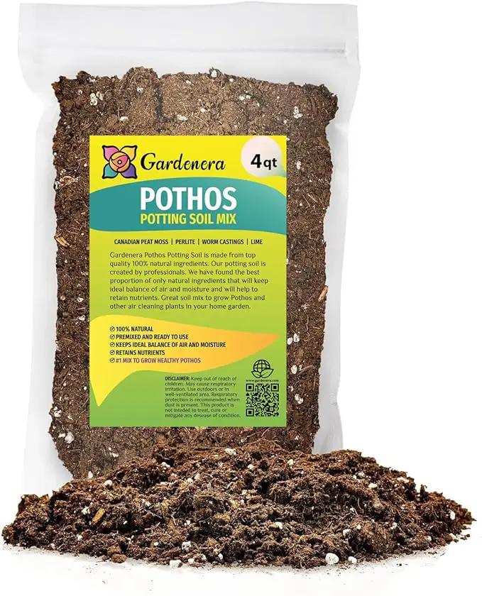 Premium Pothos Potting Soil Mix - Air Cleaning Plant Potting Mix, Soil Mix for Pothos, Parlor Palm, Peace Lily - (4 Quart Bag) by GreenHaven Gardens