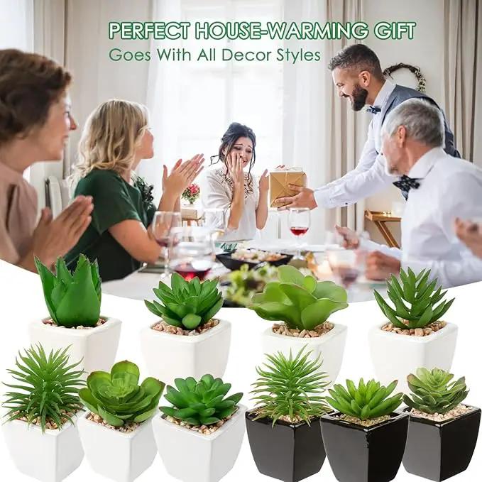 Hollyone Succulents Plants Artificial 3Pcs Small Fake Succulents in Pots Faux Plastic Potted Plants with White Ceramic Pot for Home Decor Classroom Office Bathroom Shelf Indoor & Outdoor Decorations by GreenHaven Gardens