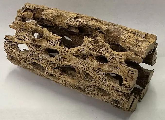 Natural Cholla Wood Chunk Air Plant Display Holders Individually Unique Decorative Stands Holder (Cholla Chunk) by GreenHaven Gardens
