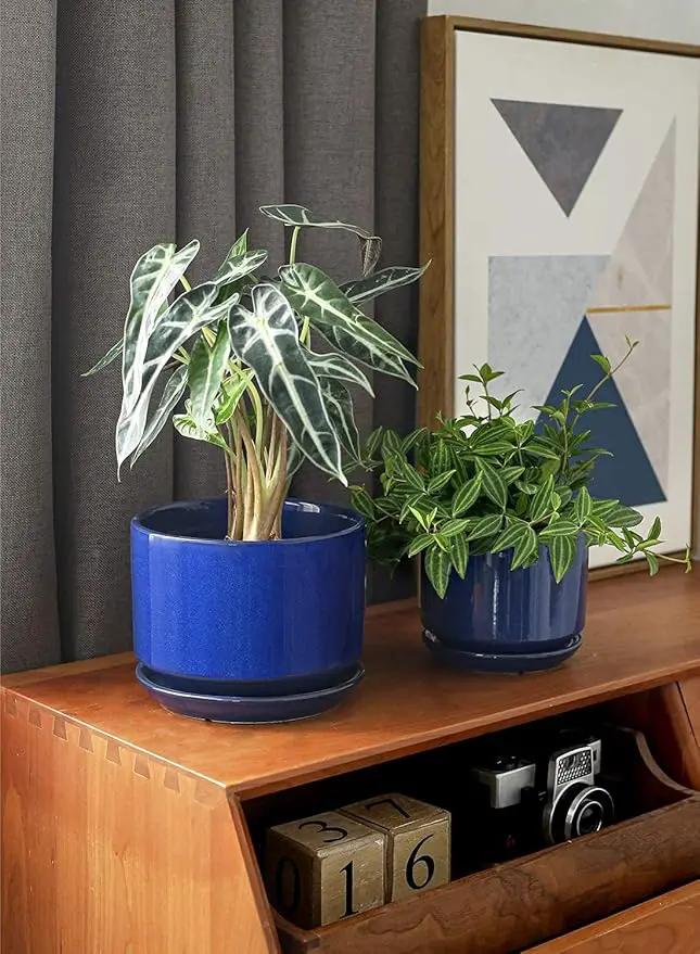 LE TAUCI Ceramic Plant Pots, 4.3+5.3+6.8 inch, Set of 3, Planters with Drainage Hole and Saucer, Indoor Flower Pot with Hole Mesh Pad, Gifts for Mom, Sapphire Blue by GreenHaven Gardens