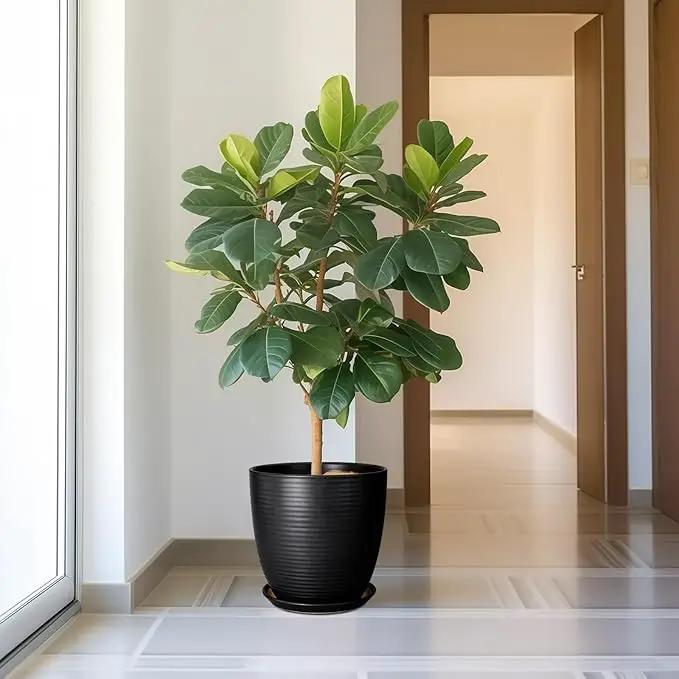 12 Inch Pots for Plants - Ceramic Planter Pot, Large Flower Pot with Drainage Hole and Saucer for Home Patio Garden Office Indoor Outdoor, Black by GreenHaven Gardens