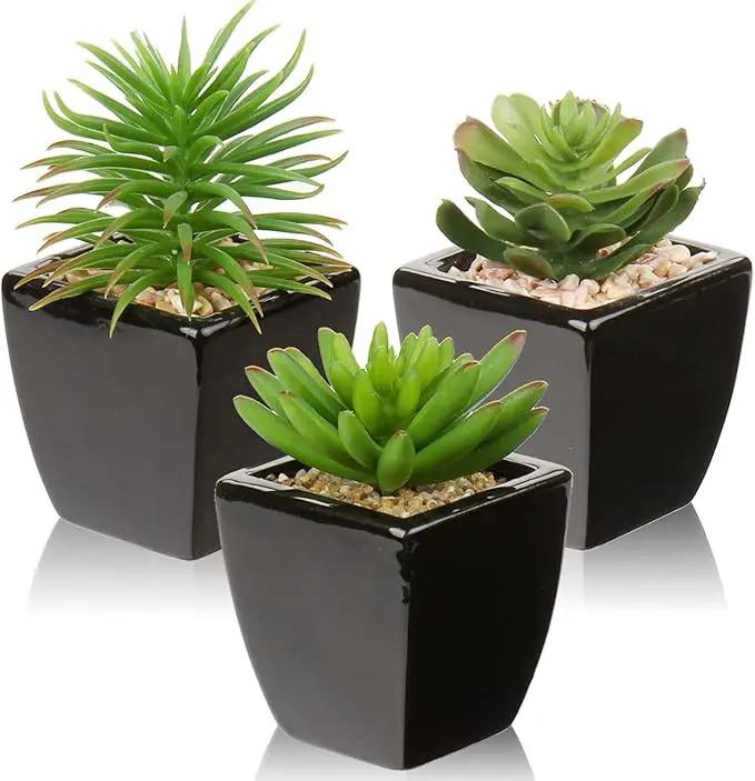 Hollyone Small Succulents Artificial 3 Pcs Faux Succulents in Pots Fake Succulent Plants with Black Ceramic Pots for Modern Home Office Desk Bathroom Shelf Living Room Decor by GreenHaven Gardens