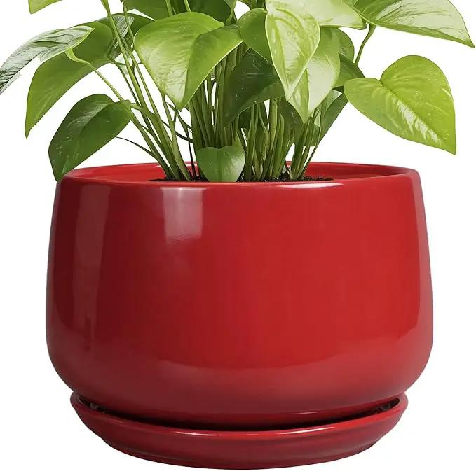 G EPGardening Ceramic Plant Pots - 9 Inch Flower pots for Indoor Outdoor Plant, Round Planter with Drainage and Saucer, Modern Home Decor, Gift for Women Men, Red by GreenHaven Gardens