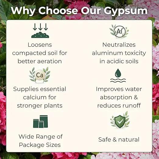 Gypsum for Soil - Calcium for Plants - Gypsum Fertilizer for Gardening, Lawn & Vegetables - Calcium for Garden (20 qts. - 40 lbs.) by GreenHaven Gardens