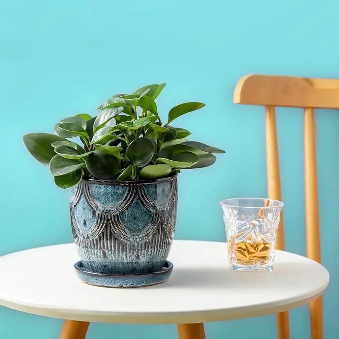 Ceramic Planter Pot, 5in, Reactive Glaze Blue, Indoor Outdoor Usage, with Drainage Hole and Saucer by GreenHaven Gardens