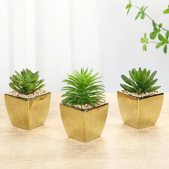 Hollyone Small Succulents Artificial 3 Pcs Faux Succulents with Gold Pots Mini Fake Succulent Plants Indoor Plant Ceramic Pots for Modern Office Desk Bathroom Shelf Living Room Home Decor by GreenHaven Gardens