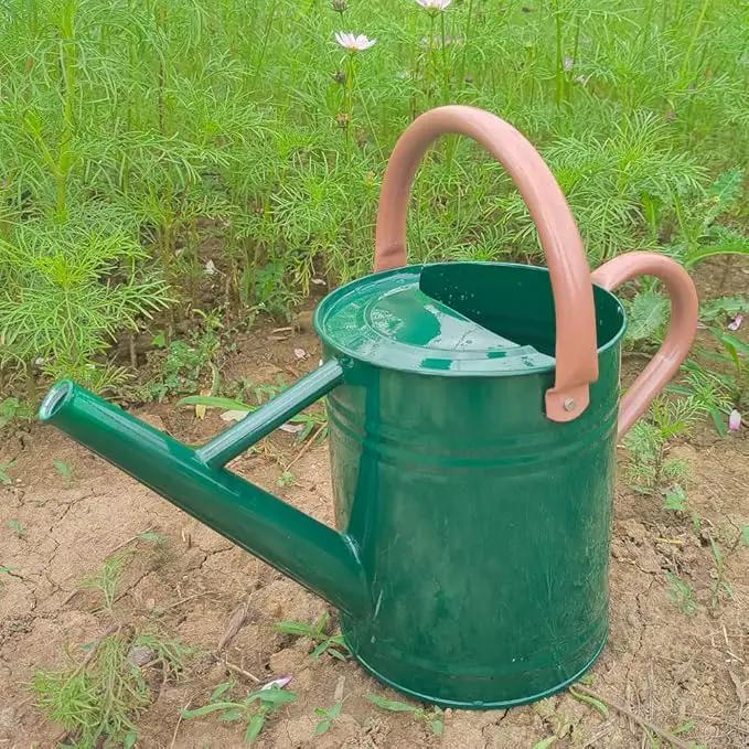 Metal Watering Can for Outdoor and Indoor Plants, Watering Can Decor, 1 Gallon (NewGreen) by GreenHaven Gardens