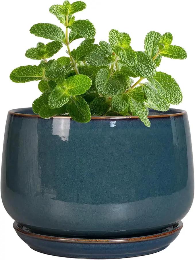 G EPGardening Ceramic Pots for Plants - 4 inch Plant Pots for Indoor Outdoor, Small Planter with Drainage Hole & Tray, Modern Succulent Pots, Round Planter, Office Decor, Home Gifts, Retro Blue by GreenHaven Gardens