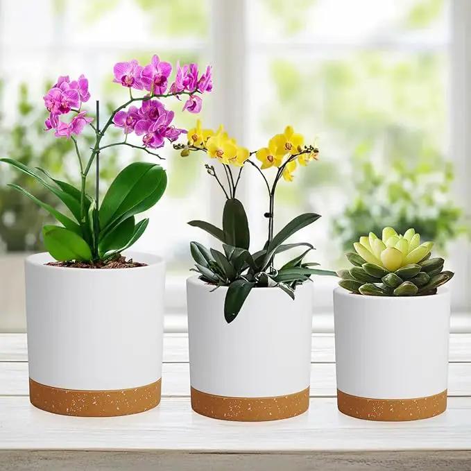 5 Pack Cylindrical Flower Pots with 7/6.5/6/5/4 inch, Modern Small Plastic Plant Pots with Drainage Holes & Saucers, Round Planter Pots for Outdoor, Indoor & Office Decor (White Brown) by GreenHaven Gardens