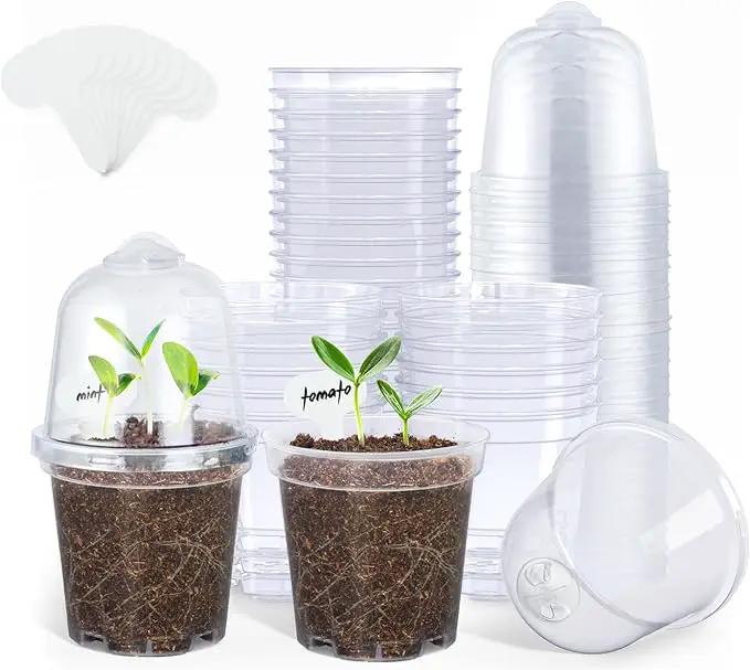 homenote Clear Nursery Pots for Plants,3 Inch Plant Pot for Planting with Humidity Domes Plastic Seedling with Drainage Holes Seed Starter Flower High Transparency (30 Pack) by GreenHaven Gardens