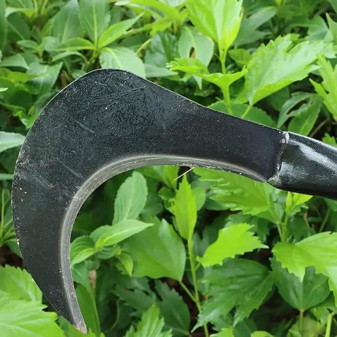 Kana Hoe 217 Japanese Garden Tool - Hand Hoe/Sickle is Perfect for Weeding and Cultivating. The Blade Edge is Very Sharp. (Beijing-025) by GreenHaven Gardens