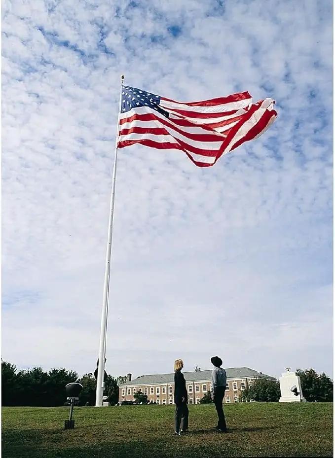 Annin Flagmakers (2340) SolarGuard Nyl-Glo American Flag, Made in USA, 10 x 15 Feet, Nylon by GreenHaven Gardens