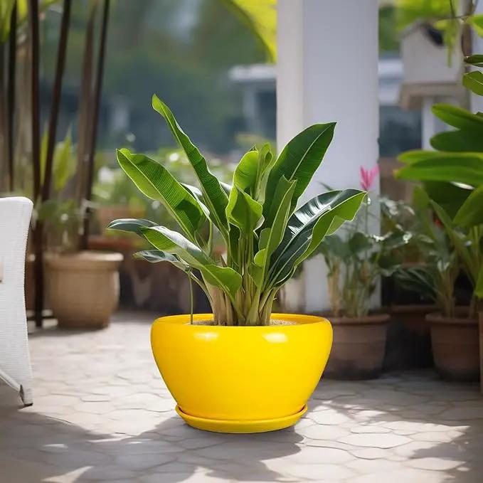 Ceramic Planter for Indoor Plants - 13 Inch Mid-Century Decorative Modern Large Plant Pot with Drainage Hole and Saucer, Home Balcony House Garden Patio Room Office Decor, Yellow by GreenHaven Gardens