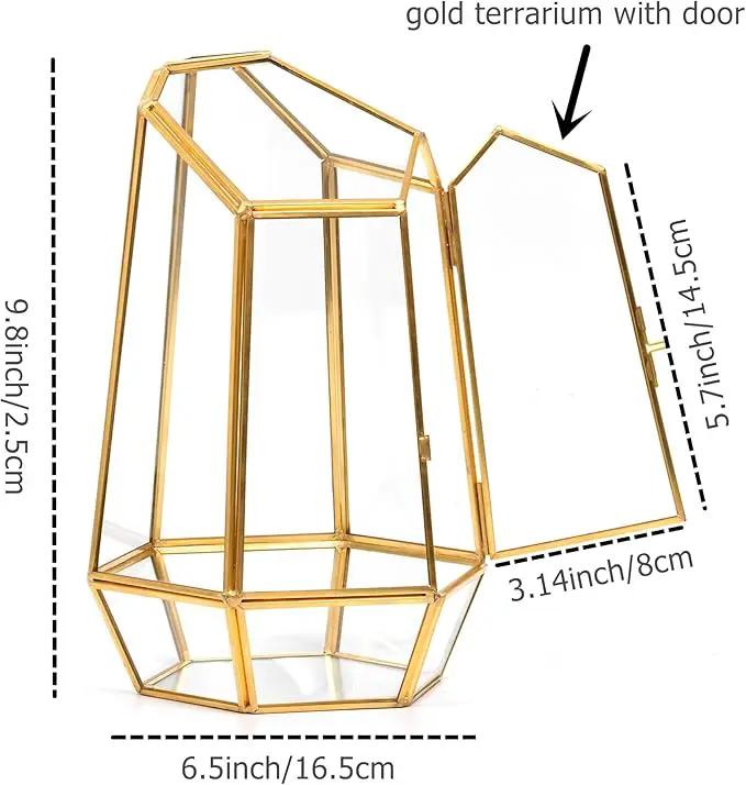 Golden Geometric Glass Terrarium with Door - 9.8" Tall Irregular Clear Planter for Succulents,Ferns,Moss,Cacti | Indoor Fairy Garden,Tabletop Display,Wedding Home Decoration (Plants Not Included) by GreenHaven Gardens