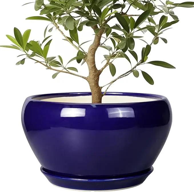 Ceramic Planter - 13 Inch Indoor Plant Pot for Plants with Drainage Hole and Saucer Large Planter Round Outdoor Flower Pot Mid-Century for House Patio Room Decor Blue by GreenHaven Gardens
