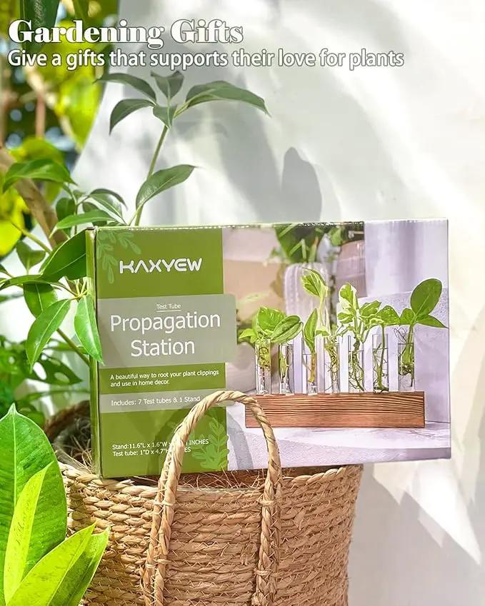KAXYEW Plant Terrarium with Wooden Stand, Plant Propagation Tubes, 7 Test Tubes Glass Planter for Hydroponic Plant Cuttings Home Office Décor by GreenHaven Gardens