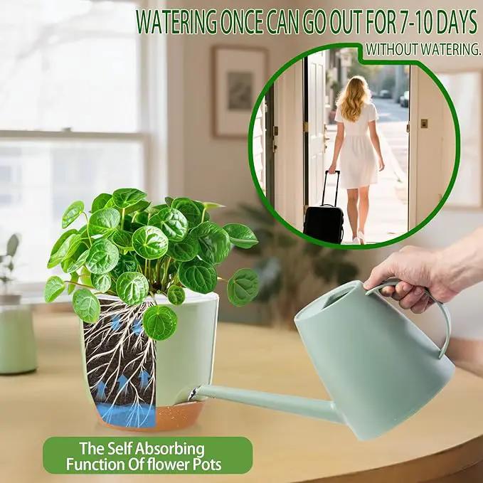 Self Watering Orchid Pots for Indoor Plants,5.8 Inch Macetas para Orqudeas,Flower Pots for Indoor Plants with Holes(Green) by GreenHaven Gardens