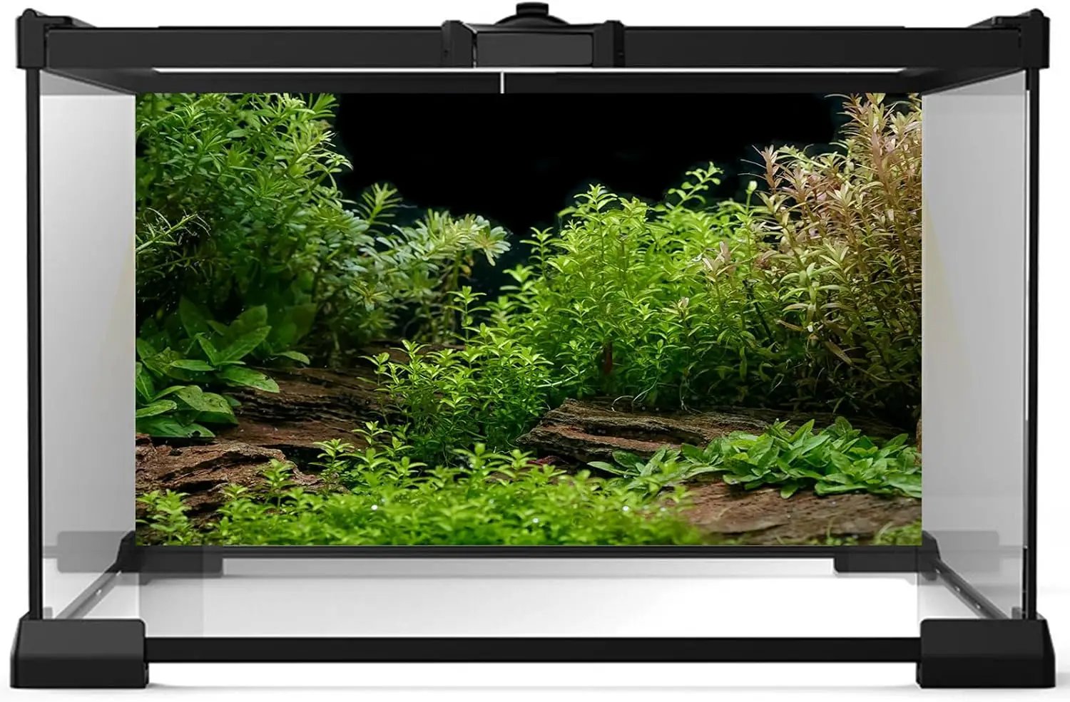 Aquarium Background Underwater Green Grass Leaves Stone Fish Tank Background Vivid Fresh Green Aquatic Plant Stone River Bed Terrarium Backdrop 36x18in by GreenHaven Gardens