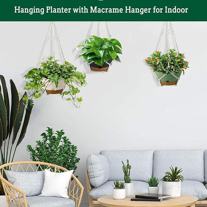 3 Pack Hanging Planters Set, 8 Inch Indoor Outdoor Hanging Plant Pot Basket,Hanging Flower Pot with Drainage Hole with 3 Hooks for Garden Home(8 inch Combination) by GreenHaven Gardens