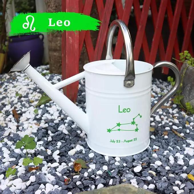 Metal Watering Can for Outdoor and Indoor Plants, Watering Can Decor, 1 Gallon (Leo) by GreenHaven Gardens