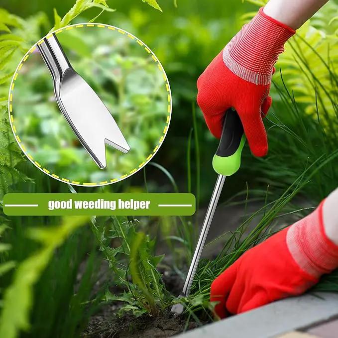 Hand Weeder Tool Garden Weeding Tool Gardening Weeder Tool with Ergonomic Handle, Stainless Steel Garden Lawn Farmland Transplant Gardening Plant Tool（2 Pronged Fork, 2 Pieces） by GreenHaven Gardens