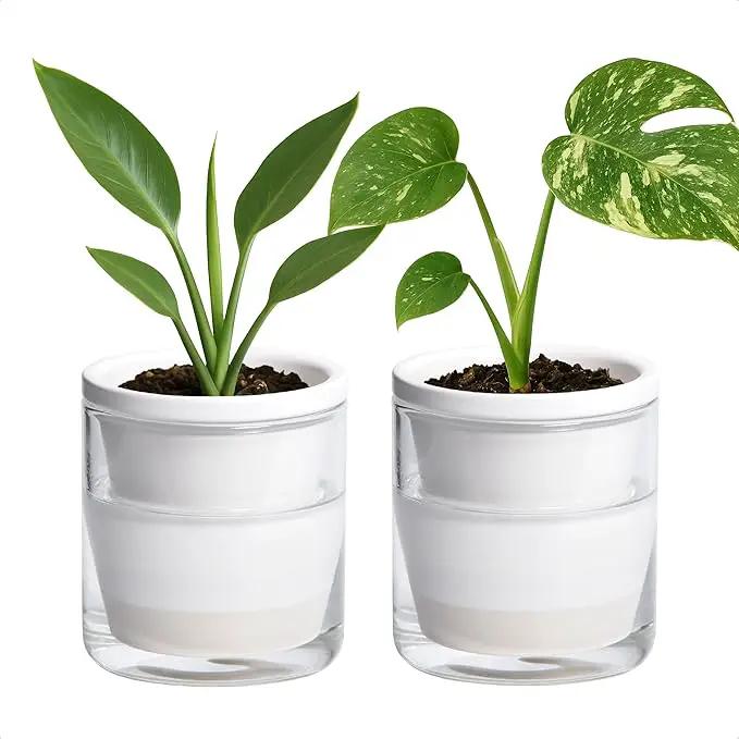 D'vine Dev 4 Inch Design Self Watering Planter for Indoor Plants, White Terracotta Pots with Cylinder Glass Cup, Set of 2, 37-Y-A-2 by GreenHaven Gardens