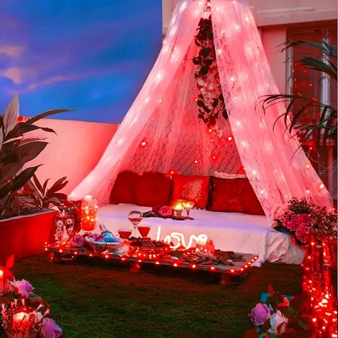 JMEXSUSS 2 Pack Solar Fairy Lights, 33FT 100 LED Red Outdoor Waterproof String Lights for Outside Tree Party Patio Christmas Valentine Day Decorations by GreenHaven Gardens