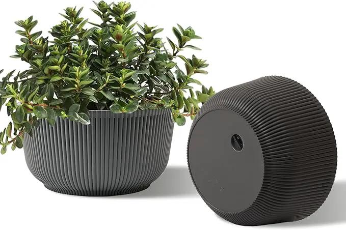 T4U 8 Inch Plant Pots, 2 Pack Self Watering Planter with Drainage Hole, Shallow Plant Pot Indoor, Home Decor Flower Pots for Plants, Cactus, Garden, Gray by GreenHaven Gardens