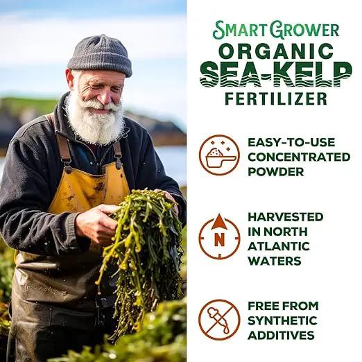 Organic Sea Kelp Fertilizer for Plants – Water-Soluble – Makes 100 Gallons – Kelp Meal Concentrate Plant Food – for Indoor Gardens, Hydroponics, Vegetables, Houseplants - Smart Grower - 4oz Bag by GreenHaven Gardens