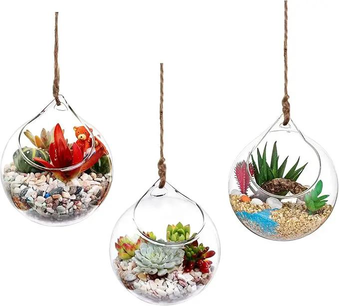 Ivolador Hanging Planter Glass Terrarium Container Air Plant Holder Succulents Globe Shape Home Garden Decor-4.7 Inches-3PCS by GreenHaven Gardens