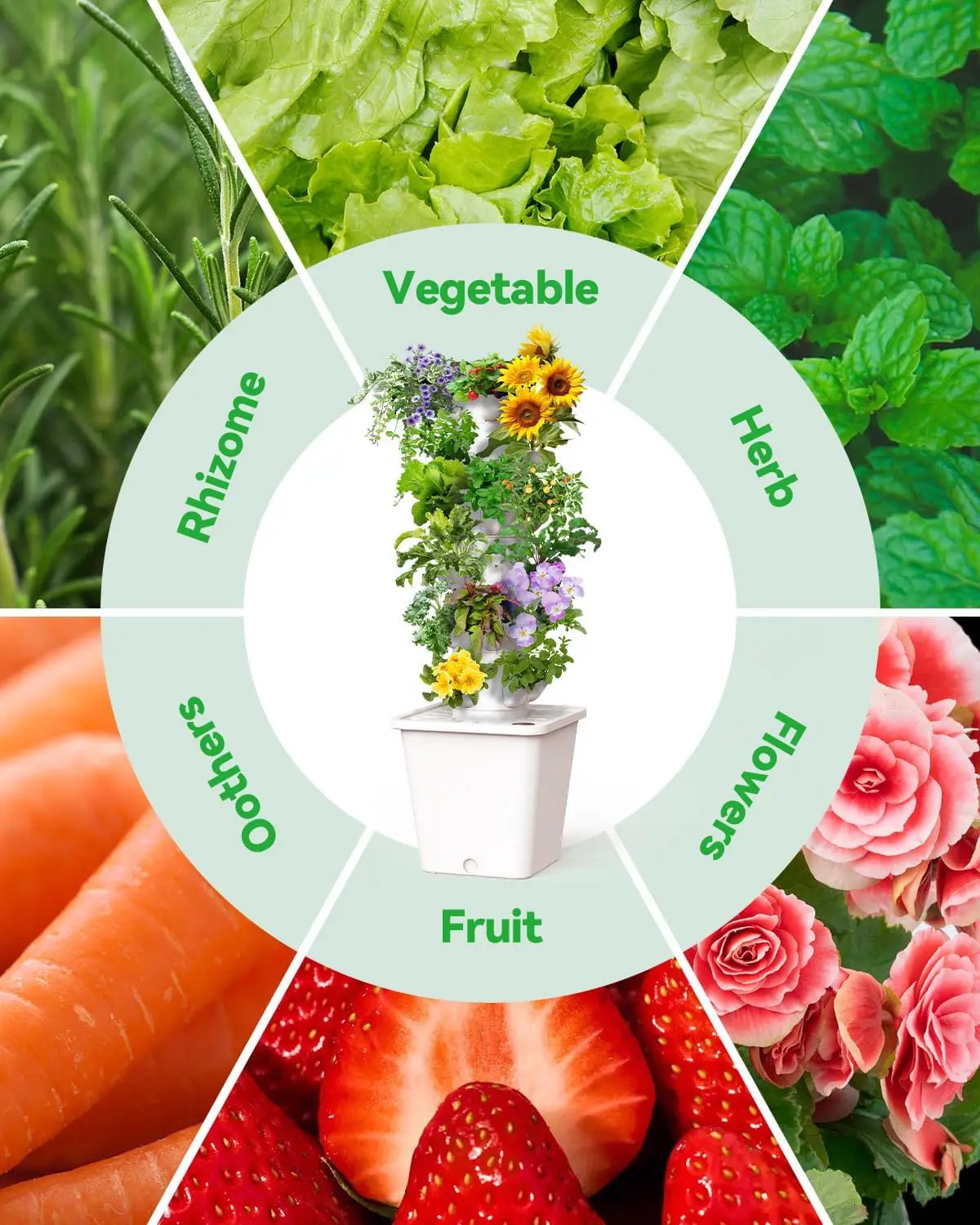 Vertical Hydroponics Growing System Kit, Indoor Outdoor Gardening System Kits, Herb & Fruits Growing Tower, 6 Layer 30 Pods by GreenHaven Gardens