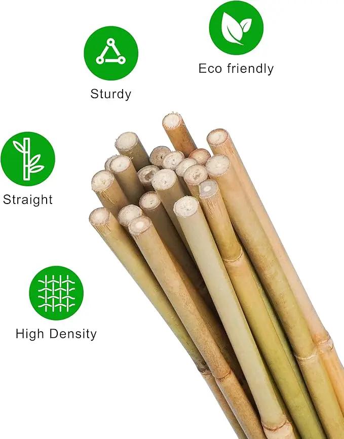 3ft Natural Bamboo Plant Stakes for Tomatoes, Beans, Flowers, Potted, Climbing Plants 25pcs by GreenHaven Gardens