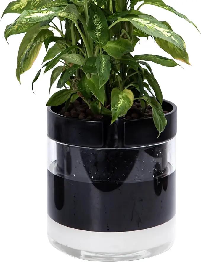 Phoenix Vine 10 Inch Self Watering Terracotta Planter, Black Terracotta Clay Pot with Glass Reservoir for Indoor Plants, Herbs, Flowers, Set of 1, 52-C-I-1 by GreenHaven Gardens