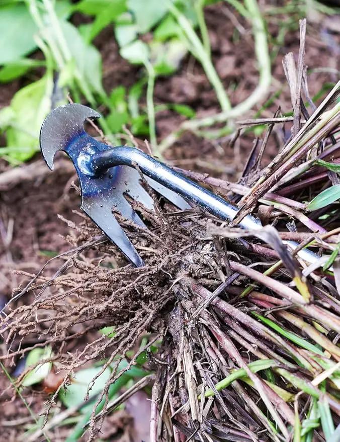 TOYPOPOR New Weeding Artifact Uprooting Weeding Tool, 16" Weed Puller, 4 Teeth Manganese Steel Forged Hand Pulling Weeder for Garden Yard Farm Weed Removal by GreenHaven Gardens