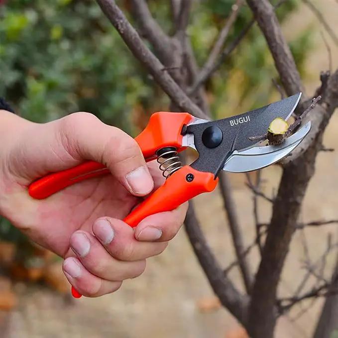 BUGUI 8" Gardening Scissors, Bypass Pruning Shears, 1" Cutting Capacity Sharp Garden Clippers with Low-friction Painted Stainless Steel Blade by GreenHaven Gardens