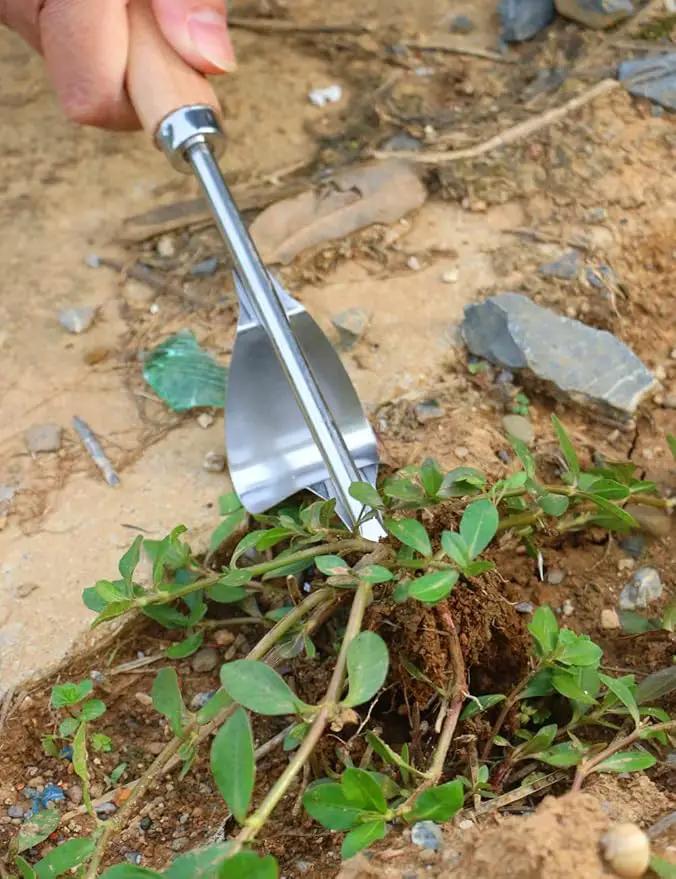 2 Pack Weed Puller, Manual Hand Weeder Paver, Stainless Steel Crevice Weeding Digger Tool, Paving Brick Moss Removal, L-Shape Gardening Crack Sickle for Sidewalk, Patio, Lawn Edger and Driveway by GreenHaven Gardens