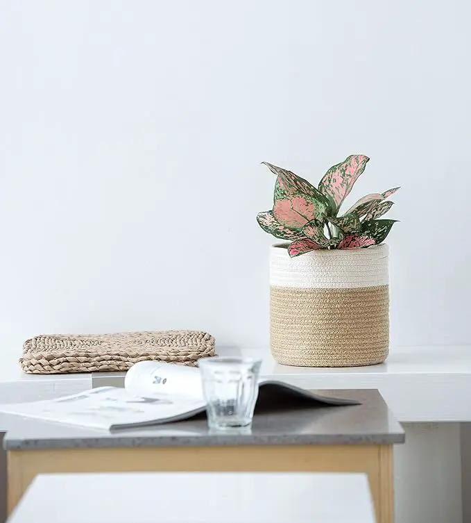 Dahey Small Cotton Rope Plant Basket Woven Plant Coiled Basket for Up to 7" Planter, Decorative Flower Pot Cover Closet Storage Bin Table Desk Organizer for Home Decor, White and Beige by GreenHaven Gardens