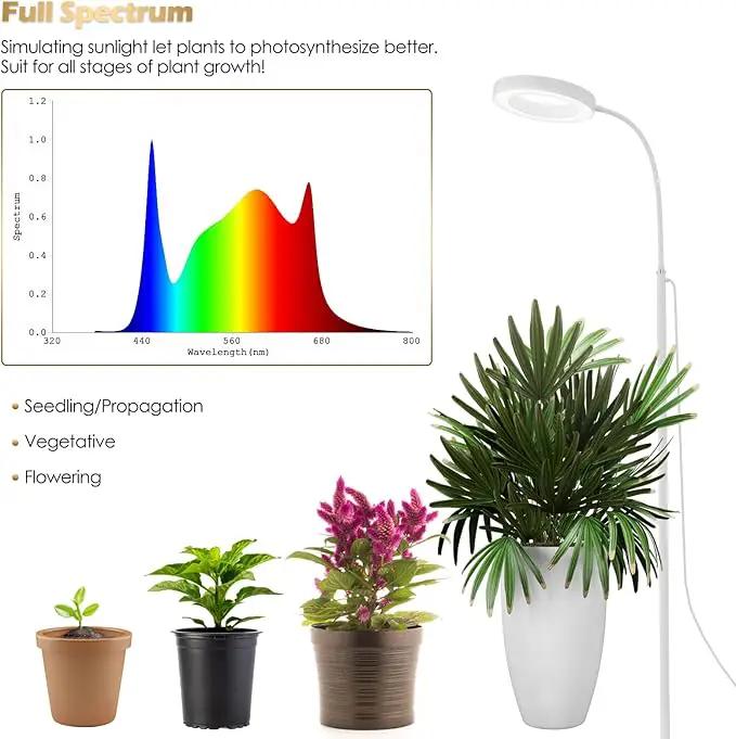 GLOWRIUM Grow Lights for Indoor Plants, 20W Full Spectrum LED Grow Light Floor Lamp with Stand Adjustable Height and Angle, Black Plant Light with 3/9/12H Timer White by GreenHaven Gardens