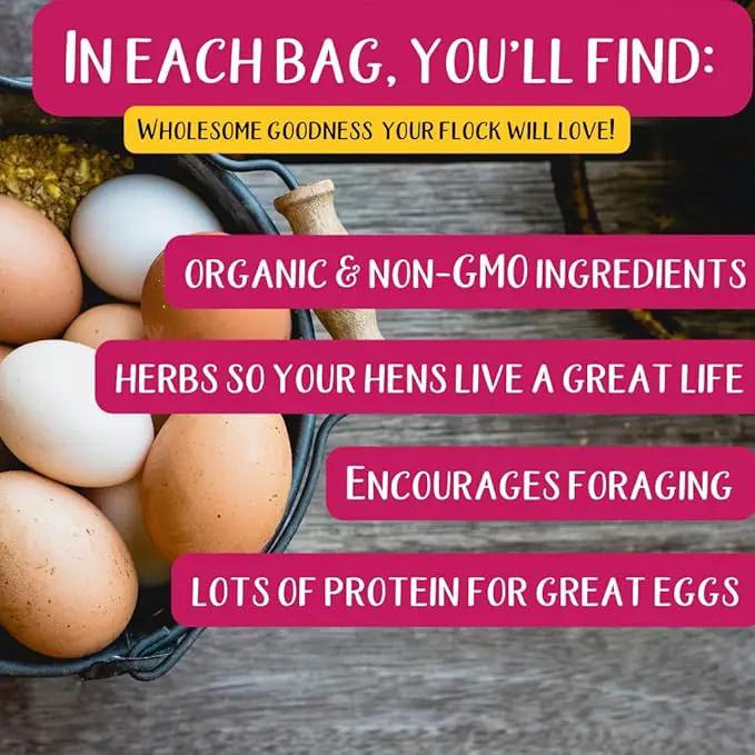 Pampered Chicken Mama Chick Feed - Premium Chicken Scratch Treat - High Protein & Calcium Grower Feed for Laying Hens (10 lbs) by GreenHaven Gardens